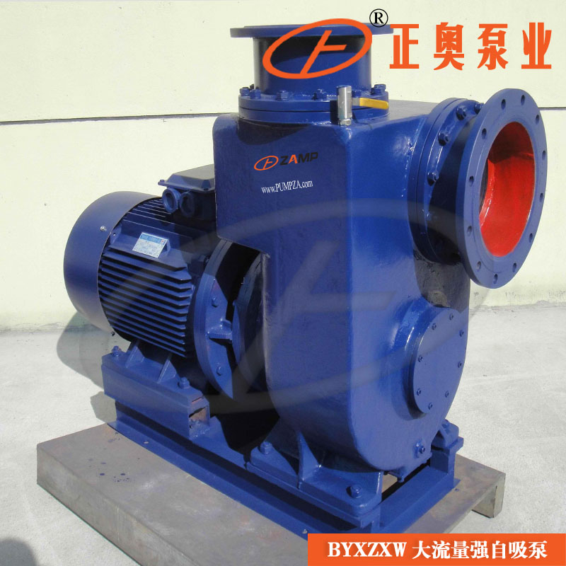 BYXZXW大流量自吸污水泵